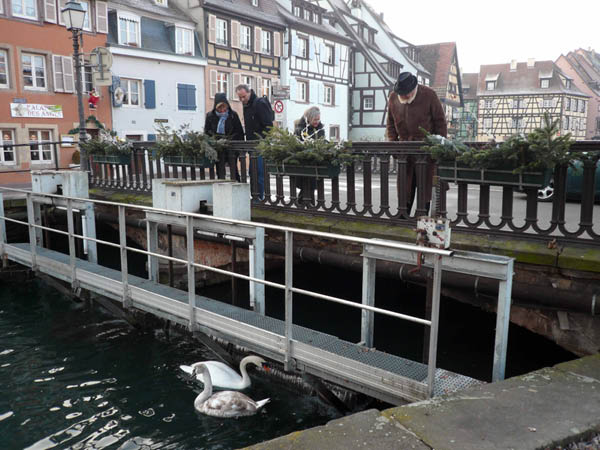 Colmar_dixsept_www