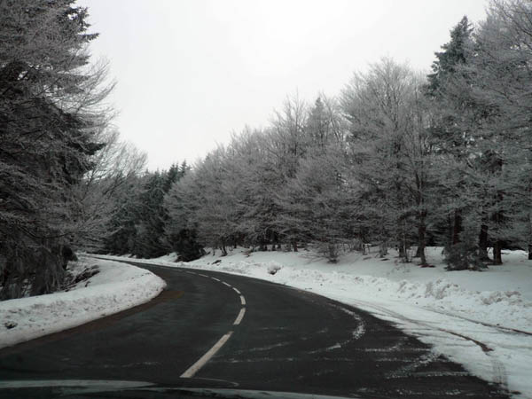 Sur_la_voie_du_retour-5_www