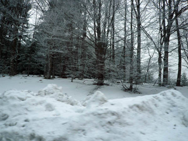 Sur_la_voie_du_retour-6_www